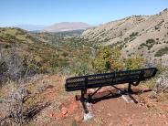 Bench View